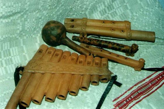 Сірынга. Парняты. Дудачкі. Брызгодка