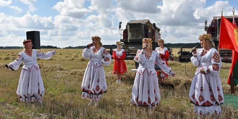 В Кричевском районе в разгаре уборочная кампания