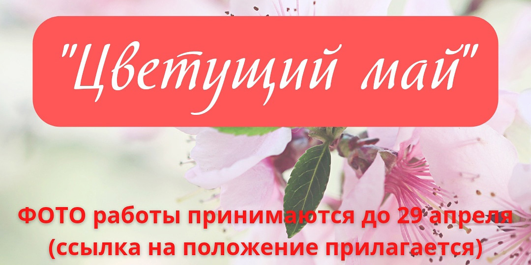 Районный конкурс фотографий «Цветущий май»